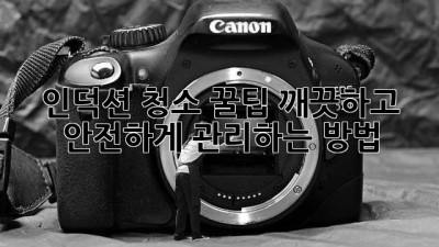 인덕션 청소 꿀팁: 깨끗하고 안전하게 관리하는 방법