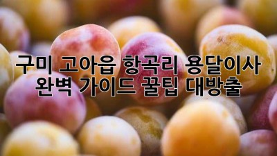 구미 고아읍 항곡리 용달이사 🚚 완벽 가이드: 꿀팁 대방출! 🍯